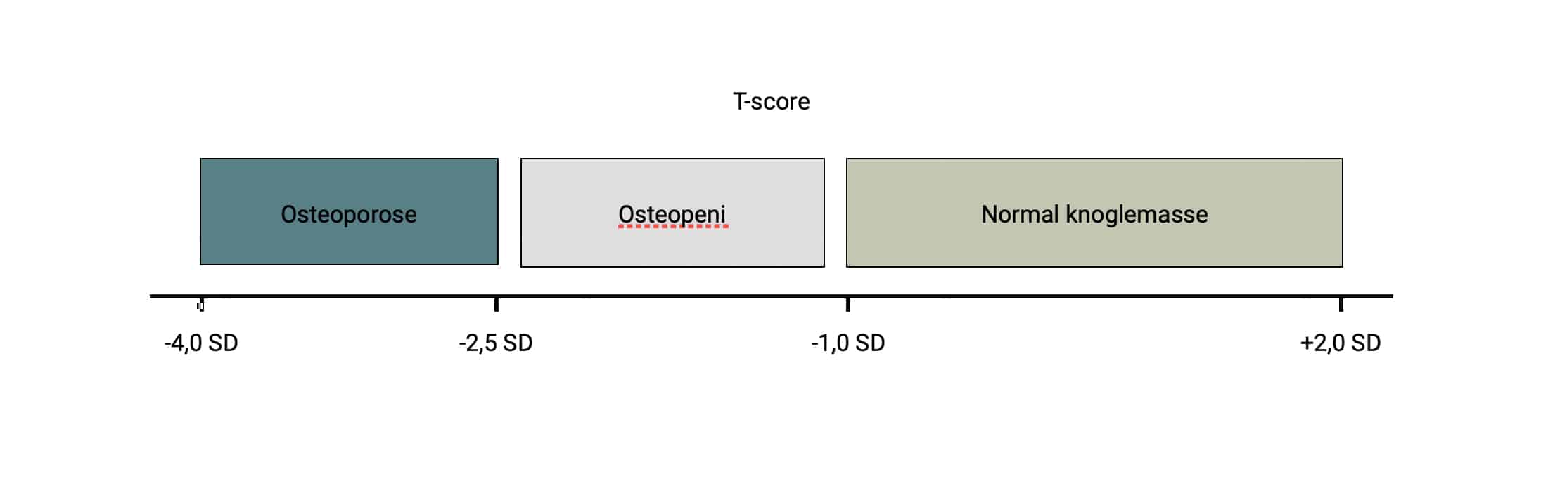 Knoglestyrkende medicin. T-score efter DXA scanning